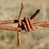 barbed wire Bob